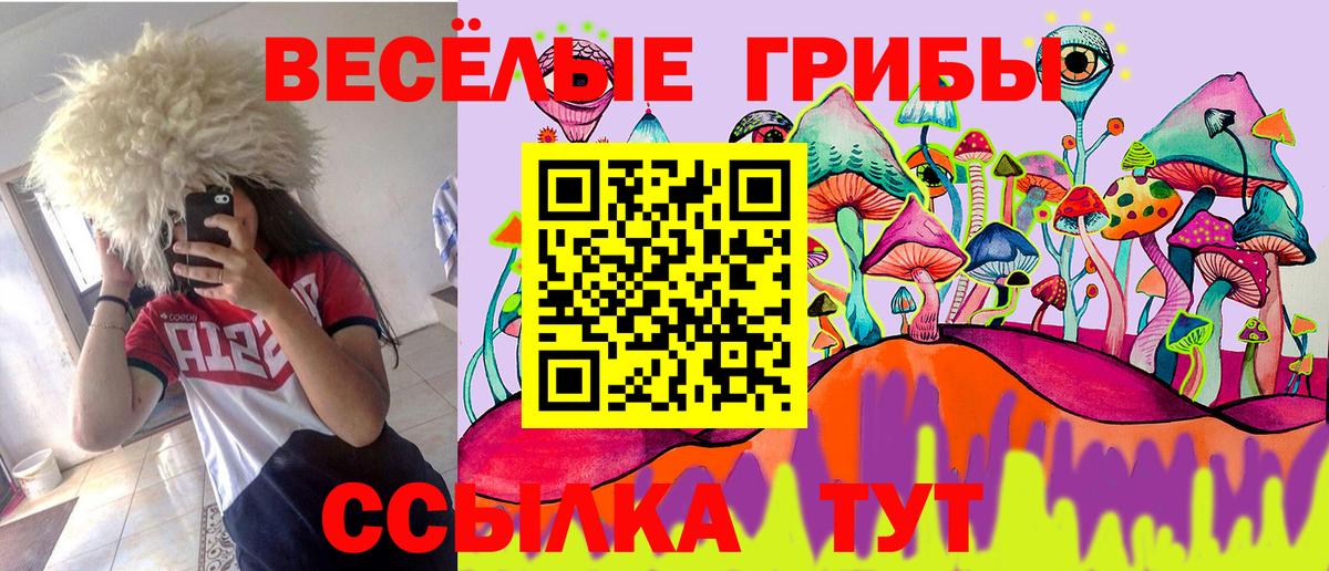 Миасс  Галлюциногенные грибы Psilocybine cubensis  Вход с VPN 